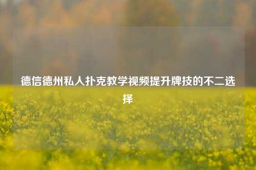 德信德州私人扑克教学视频提升牌技的不二选择