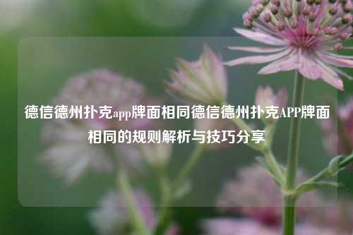 德信德州扑克app牌面相同德信德州扑克APP牌面相同的规则解析与技巧分享