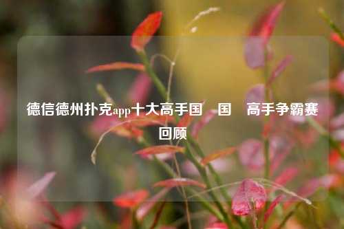 德信德州扑克app十大高手国內国內高手争霸赛回顾