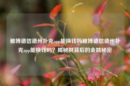 雅博德信德州扑克app能换钱吗雅博德信德州扑克app能换钱吗？揭秘其背后的金融秘密
