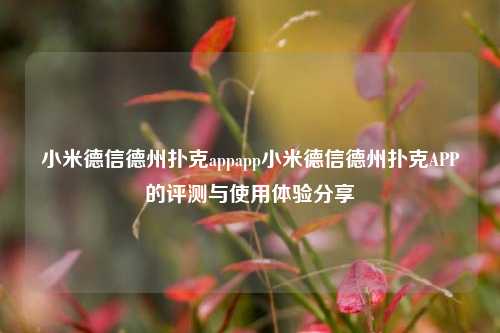 小米德信德州扑克appapp小米德信德州扑克APP的评测与使用体验分享