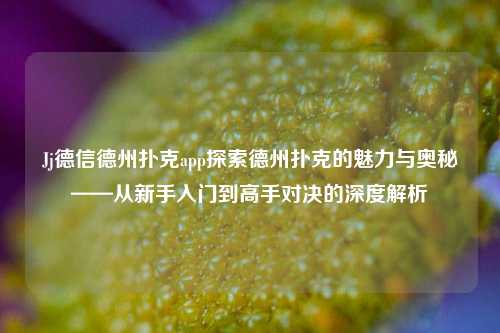 Jj德信德州扑克app探索德州扑克的魅力与奥秘——从新手入门到高手对决的深度解析