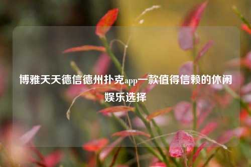 博雅天天德信德州扑克app一款值得信赖的休闲娱乐选择