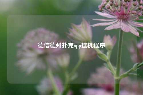 德信德州扑克app挂机程序