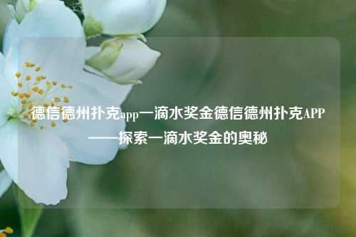 德信德州扑克app一滴水奖金德信德州扑克APP——探索一滴水奖金的奥秘