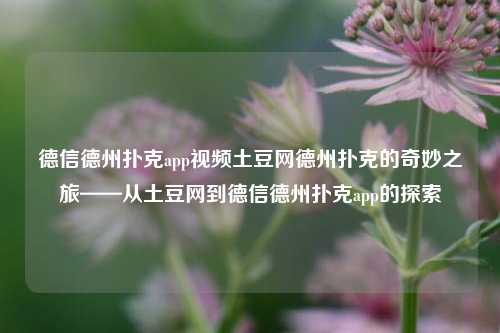 德信德州扑克app视频土豆网德州扑克的奇妙之旅——从土豆网到德信德州扑克app的探索