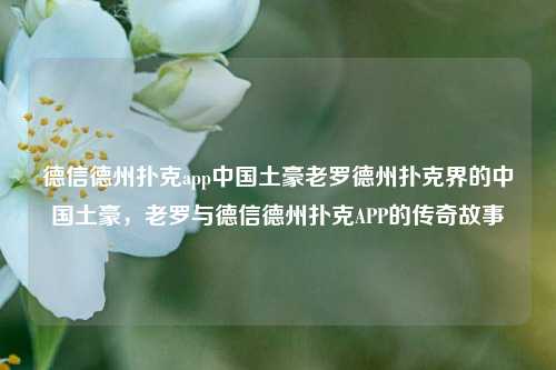 德信德州扑克app中国土豪老罗德州扑克界的中国土豪，老罗与德信德州扑克APP的传奇故事