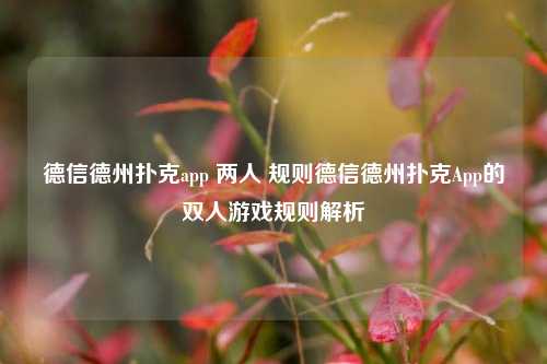 德信德州扑克app 两人 规则德信德州扑克App的双人游戏规则解析