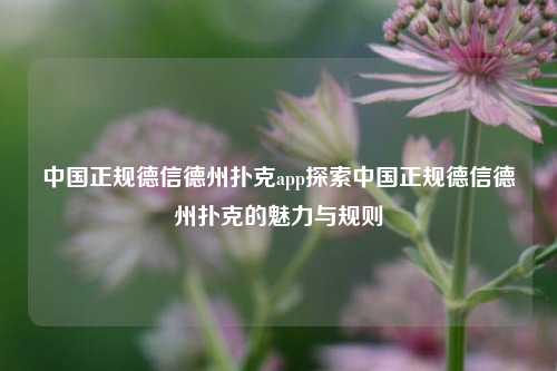 中国正规德信德州扑克app探索中国正规德信德州扑克的魅力与规则
