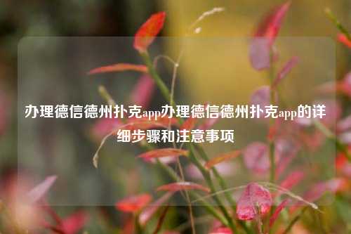 办理德信德州扑克app办理德信德州扑克app的详细步骤和注意事项