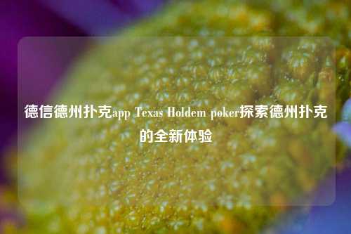 德信德州扑克app Texas Holdem poker探索德州扑克的全新体验