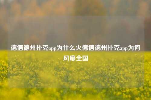 德信德州扑克app为什么火德信德州扑克app为何风靡全国