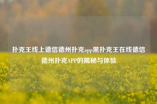 扑克王线上德信德州扑克app黑扑克王在线德信德州扑克APP的揭秘与体验