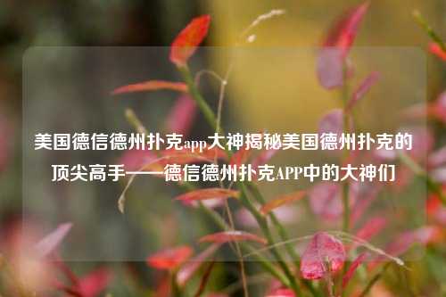 美国德信德州扑克app大神揭秘美国德州扑克的顶尖高手——德信德州扑克APP中的大神们