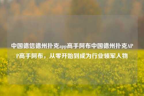 中国德信德州扑克app高手阿布中国德州扑克APP高手阿布，从零开始到成为行业领军人物