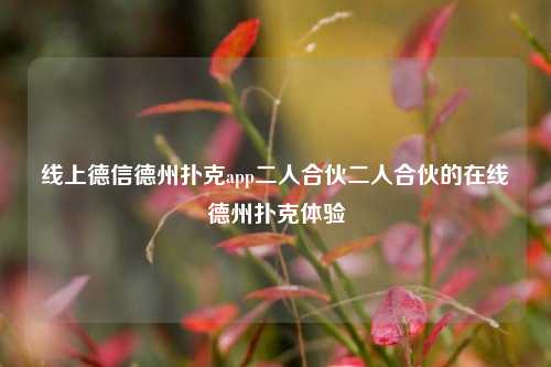 线上德信德州扑克app二人合伙二人合伙的在线德州扑克体验