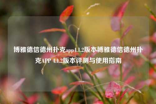 博雅德信德州扑克app4.1.2版本博雅德信德州扑克APP 4.1.2版本评测与使用指南