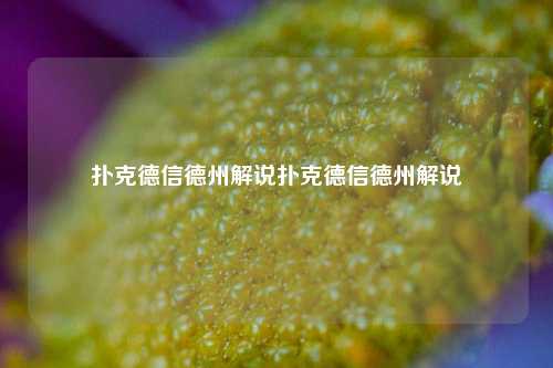扑克德信德州解说扑克德信德州解说