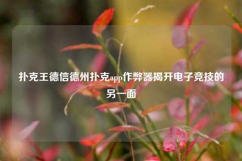 扑克王德信德州扑克app作弊器揭开电子竞技的另一面