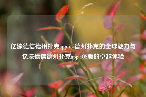 亿濠德信德州扑克app ios德州扑克的全球魅力与亿濠德信德州扑克app iOS版的卓越体验