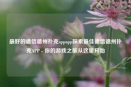 最好的德信德州扑克appapp探索最佳德信德州扑克APP - 你的游戏之旅从这里开始