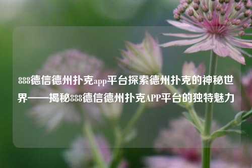 888德信德州扑克app平台探索德州扑克的神秘世界——揭秘888德信德州扑克APP平台的独特魅力