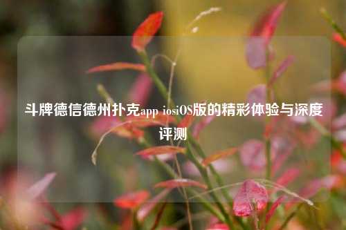 斗牌德信德州扑克app iosiOS版的精彩体验与深度评测