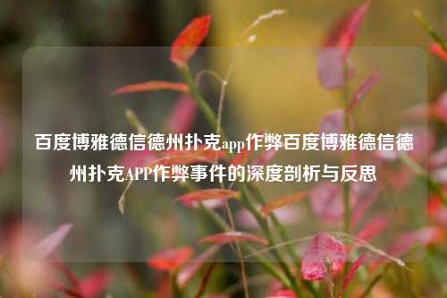 百度博雅德信德州扑克app作弊百度博雅德信德州扑克APP作弊事件的深度剖析与反思