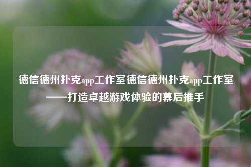 德信德州扑克app工作室德信德州扑克app工作室——打造卓越游戏体验的幕后推手