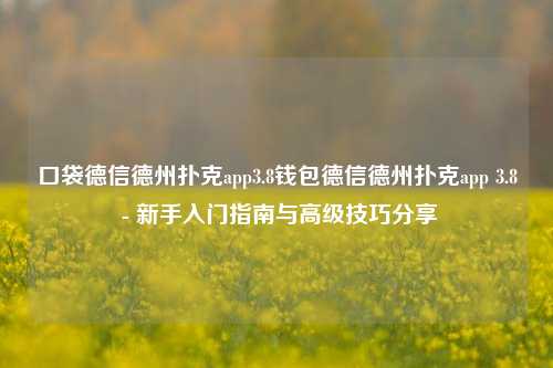 口袋德信德州扑克app3.8钱包德信德州扑克app 3.8 - 新手入门指南与高级技巧分享