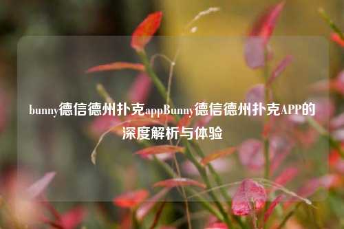 bunny德信德州扑克appBunny德信德州扑克APP的深度解析与体验
