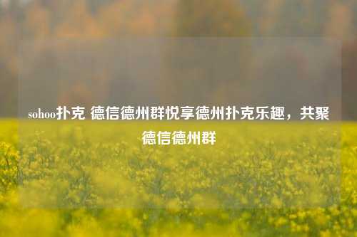 sohoo扑克 德信德州群悦享德州扑克乐趣，共聚德信德州群