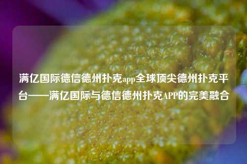 满亿国际德信德州扑克app全球顶尖德州扑克平台——满亿国际与德信德州扑克APP的完美融合