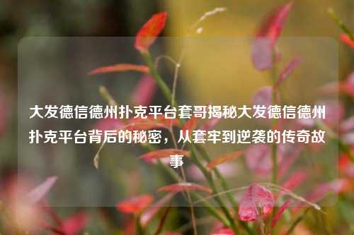 大发德信德州扑克平台套哥揭秘大发德信德州扑克平台背后的秘密，从套牢到逆袭的传奇故事