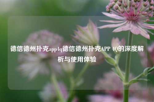 德信德州扑克app4q德信德州扑克APP 4Q的深度解析与使用体验
