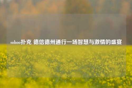 sohoo扑克 德信德州通行一场智慧与激情的盛宴