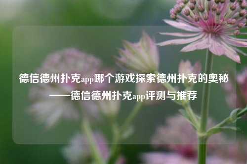 德信德州扑克app哪个游戏探索德州扑克的奥秘——德信德州扑克app评测与推荐