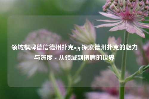 领域棋牌德信德州扑克app探索德州扑克的魅力与深度 - 从领域到棋牌的世界