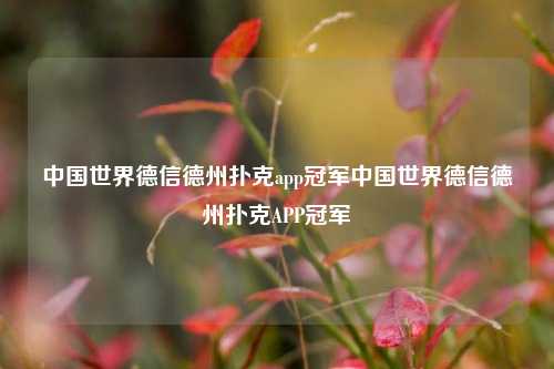 中国世界德信德州扑克app冠军中国世界德信德州扑克APP冠军