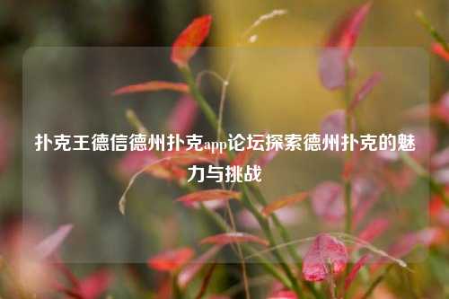 扑克王德信德州扑克app论坛探索德州扑克的魅力与挑战