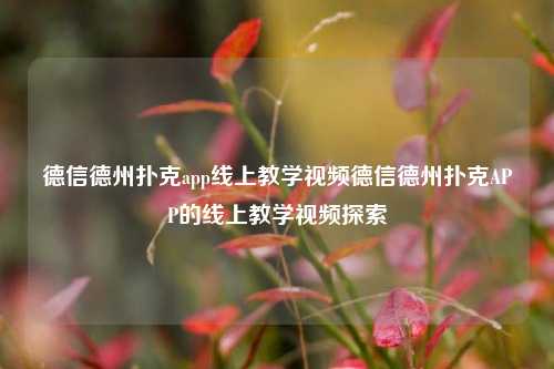 德信德州扑克app线上教学视频德信德州扑克APP的线上教学视频探索