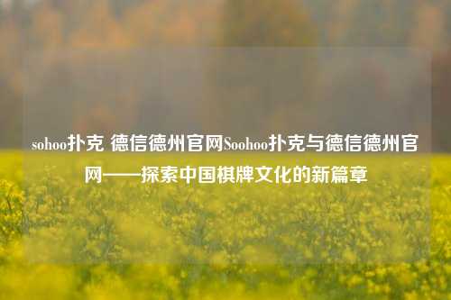 sohoo扑克 德信德州官网Soohoo扑克与德信德州官网——探索中国棋牌文化的新篇章