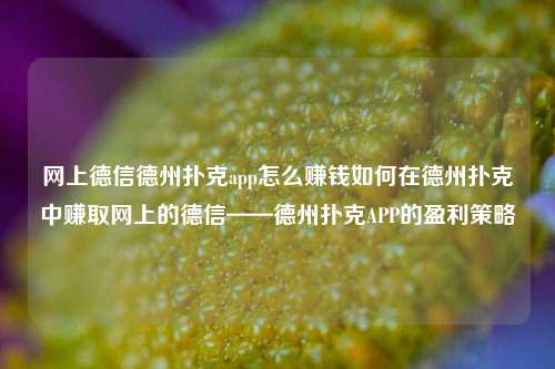 网上德信德州扑克app怎么赚钱如何在德州扑克中赚取网上的德信——德州扑克APP的盈利策略