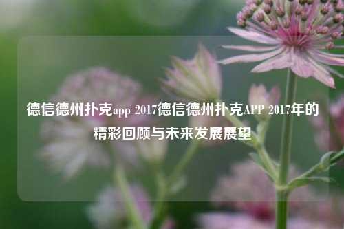 德信德州扑克app 2017德信德州扑克APP 2017年的精彩回顾与未来发展展望