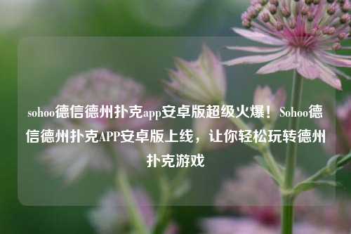 sohoo德信德州扑克app安卓版超级火爆！Sohoo德信德州扑克APP安卓版上线，让你轻松玩转德州扑克游戏