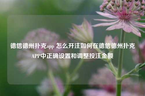 德信德州扑克app 怎么开注如何在德信德州扑克APP中正确设置和调整投注金额