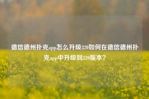 德信德州扑克app怎么升级320如何在德信德州扑克app中升级到320版本？