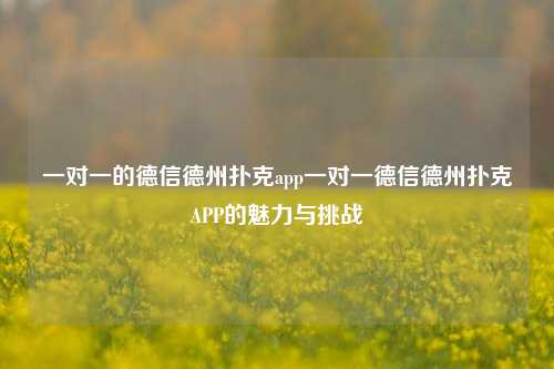 一对一的德信德州扑克app一对一德信德州扑克APP的魅力与挑战