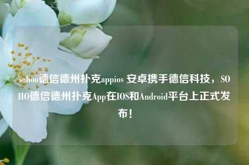 sohoo德信德州扑克appios 安卓携手德信科技，SOHO德信德州扑克App在IOS和Android平台上正式发布！