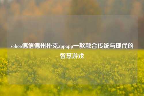 sohoo德信德州扑克appapp一款融合传统与现代的智慧游戏